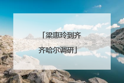 梁惠玲到齐齐哈尔调研