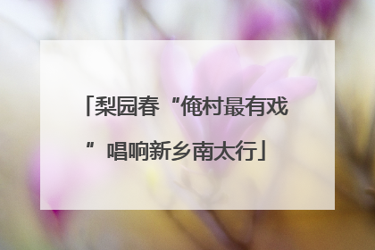 梨园春“俺村最有戏”唱响新乡南太行