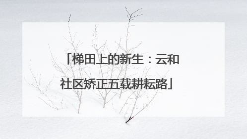 梯田上的新生：云和社区矫正五载耕耘路