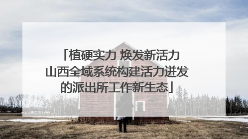 植硬实力 焕发新活力 山西全域系统构建活力迸发的派出所工作新生态