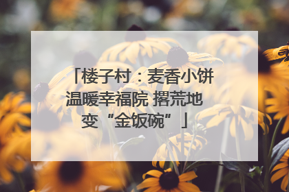 楼子村：麦香小饼温暖幸福院 撂荒地变“金饭碗”
