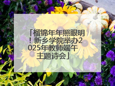 榴锦年年照眼明！新乡学院举办2025年教师端午主题诗会