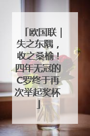 欧国联｜失之东隅，收之桑榆！四年无冠的C罗终于再次举起奖杯