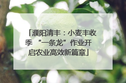 濮阳清丰：小麦丰收季 “一条龙”作业开启农业高效新篇章