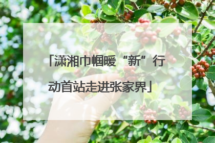 潇湘巾帼暖“新”行动首站走进张家界