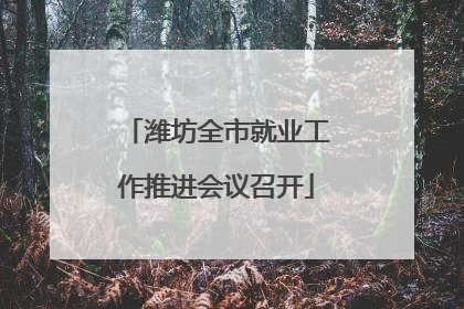 潍坊全市就业工作推进会议召开