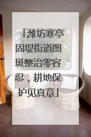 潍坊寒亭固堤街道图斑整治零容忍，耕地保护见真章