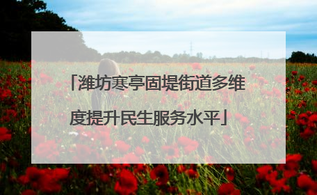 潍坊寒亭固堤街道多维度提升民生服务水平