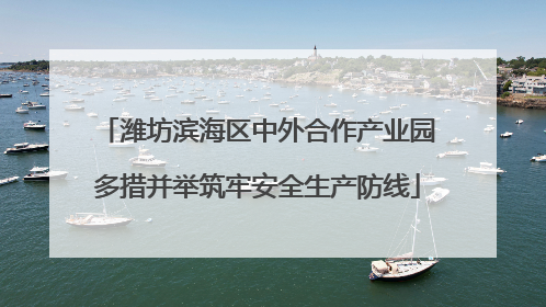 潍坊滨海区中外合作产业园多措并举筑牢安全生产防线