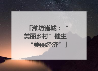 潍坊诸城：“美丽乡村”催生“美丽经济”