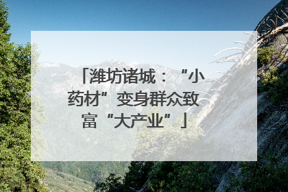 潍坊诸城：“小药材”变身群众致富“大产业”