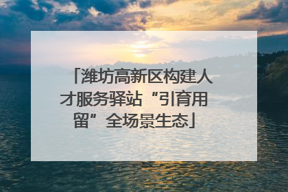潍坊高新区构建人才服务驿站“引育用留”全场景生态