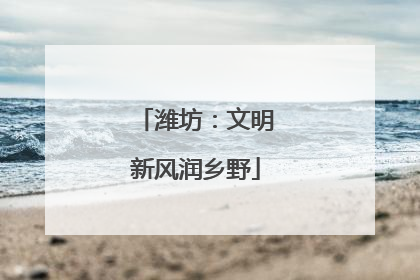 潍坊：文明新风润乡野