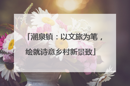 潮泉镇：以文旅为笔，绘就诗意乡村新景致