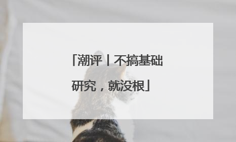 潮评丨不搞基础研究，就没根