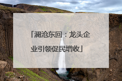 澜沧东回：龙头企业引领促民增收
