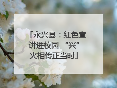 永兴县：红色宣讲进校园 “兴”火相传正当时