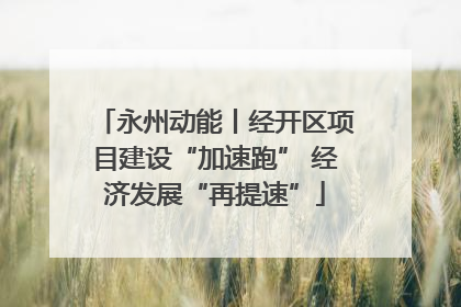 永州动能丨经开区项目建设“加速跑” 经济发展“再提速”
