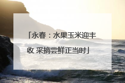 永春：水果玉米迎丰收 采摘尝鲜正当时