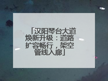 汉阳琴台大道焕新升级：道路扩容畅行，架空管线入廊
