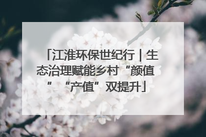 江淮环保世纪行｜生态治理赋能乡村“颜值”“产值”双提升