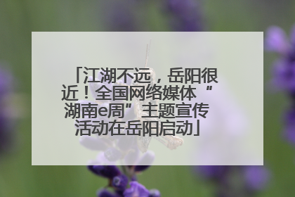 江湖不远，岳阳很近！全国网络媒体“湖南e周”主题宣传活动在岳阳启动