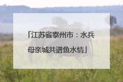 江苏省泰州市：水兵母亲城共谱鱼水情