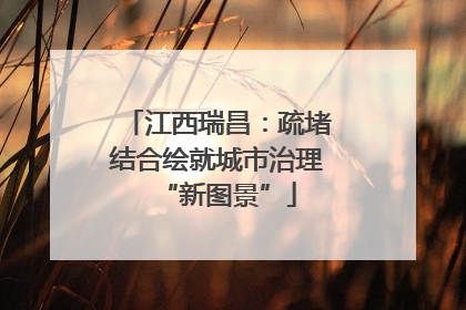 江西瑞昌：疏堵结合绘就城市治理“新图景”