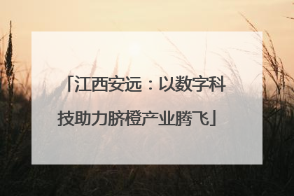 江西安远：以数字科技助力脐橙产业腾飞
