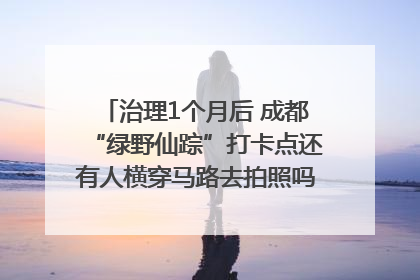 治理1个月后 成都“绿野仙踪”打卡点还有人横穿马路去拍照吗？｜民情瞭望