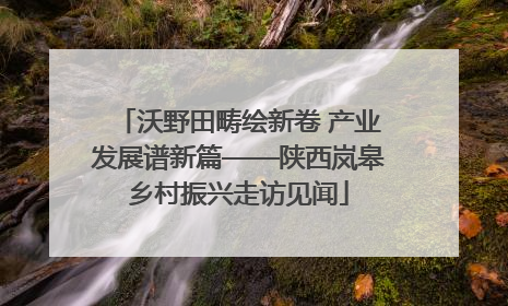 沃野田畴绘新卷 产业发展谱新篇——陕西岚皋乡村振兴走访见闻