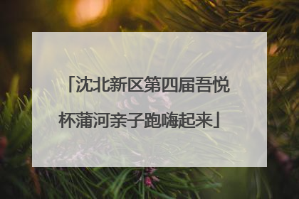 沈北新区第四届吾悦杯蒲河亲子跑嗨起来