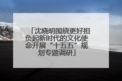 沈晓明围绕更好担负起新时代的文化使命开展“十五五”规划专题调研