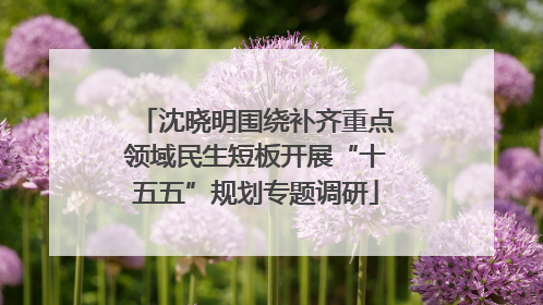 沈晓明围绕补齐重点领域民生短板开展“十五五”规划专题调研