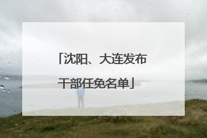 沈阳、大连发布干部任免名单
