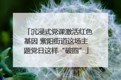 沉浸式党课激活红色基因 紫阳街道这场主题党日这样“破圈”
