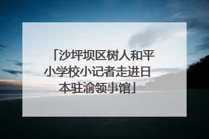 沙坪坝区树人和平小学校小记者走进日本驻渝领事馆