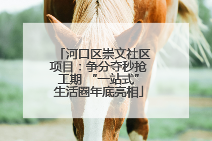 河口区崇文社区项目：争分夺秒抢工期 “一站式”生活圈年底亮相