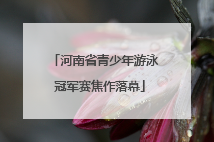 河南省青少年游泳冠军赛焦作落幕