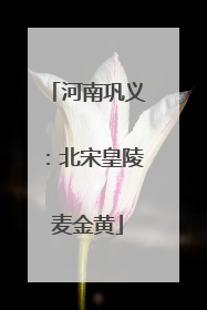 河南巩义：北宋皇陵麦金黄