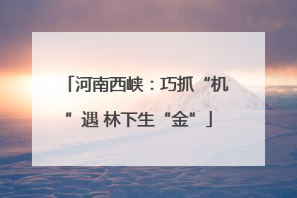 河南西峡：巧抓“机”遇 林下生“金”