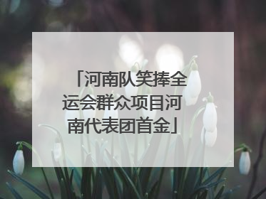 河南队笑捧全运会群众项目河南代表团首金