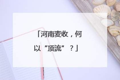 河南麦收，何以“顶流”？
