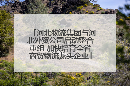 河北物流集团与河北外贸公司启动整合重组 加快培育全省商贸物流龙头企业