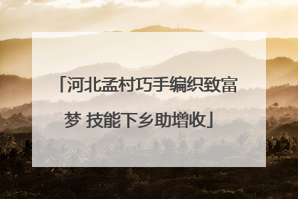 河北孟村巧手编织致富梦 技能下乡助增收