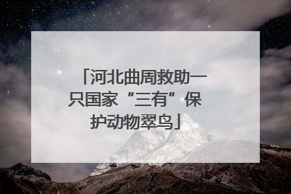 河北曲周救助一只国家“三有”保护动物翠鸟