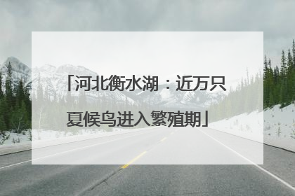 河北衡水湖：近万只夏候鸟进入繁殖期