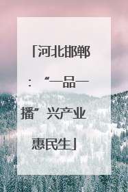 河北邯郸：“一品一播”兴产业惠民生
