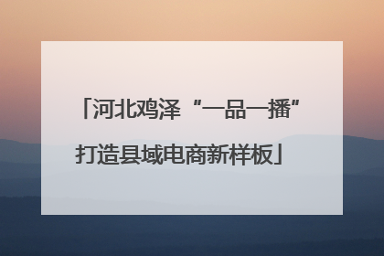 河北鸡泽“一品一播”打造县域电商新样板