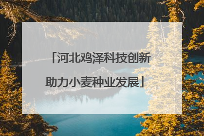 河北鸡泽科技创新助力小麦种业发展